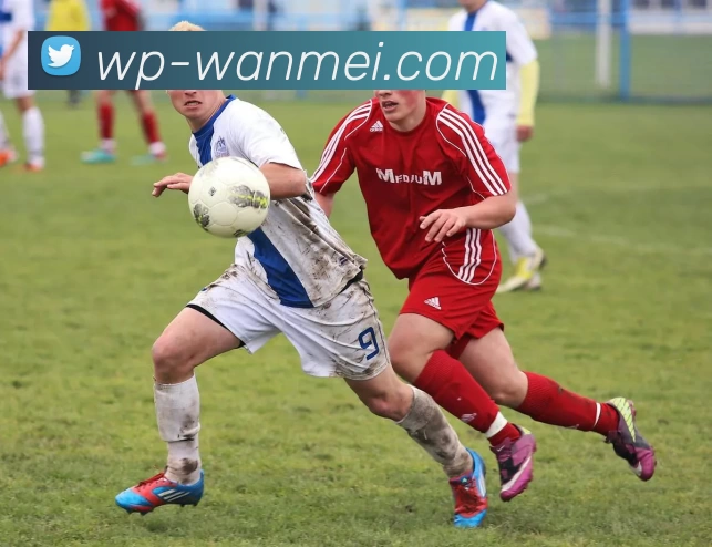 完美体育投注平台服务体系